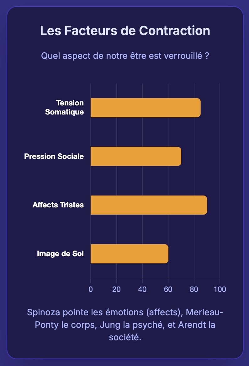 facteurs de contraction.jpeg